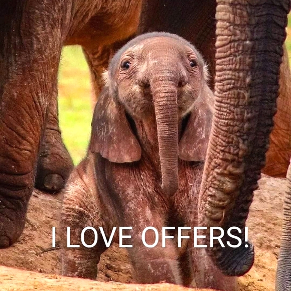I LOVE OFFERS❤️❤️❤️❤️❤️❤️
